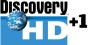 Discovery Channel +1 sky logo canale tv
