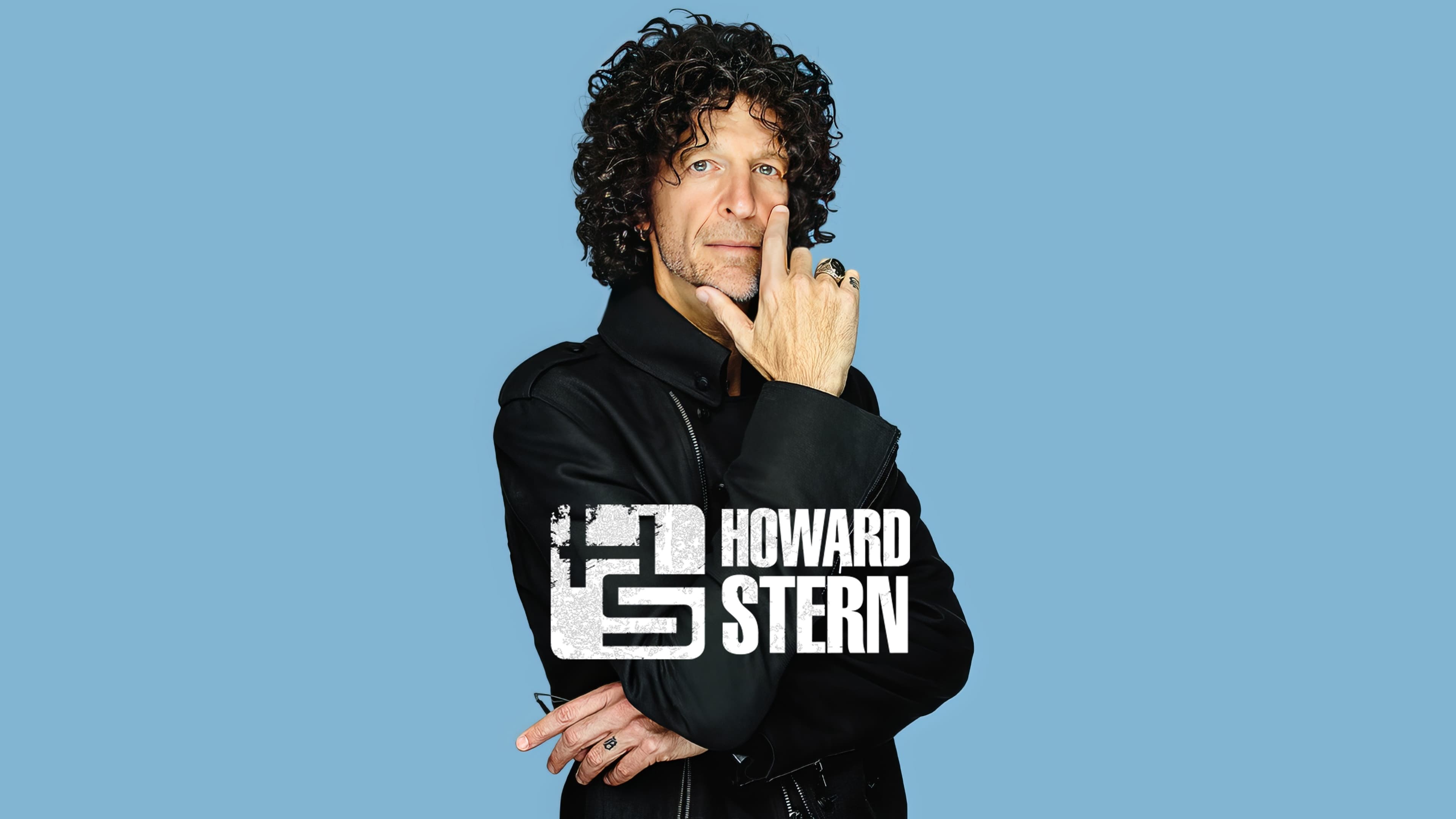 The Howard Stern Interview (2006) - serie