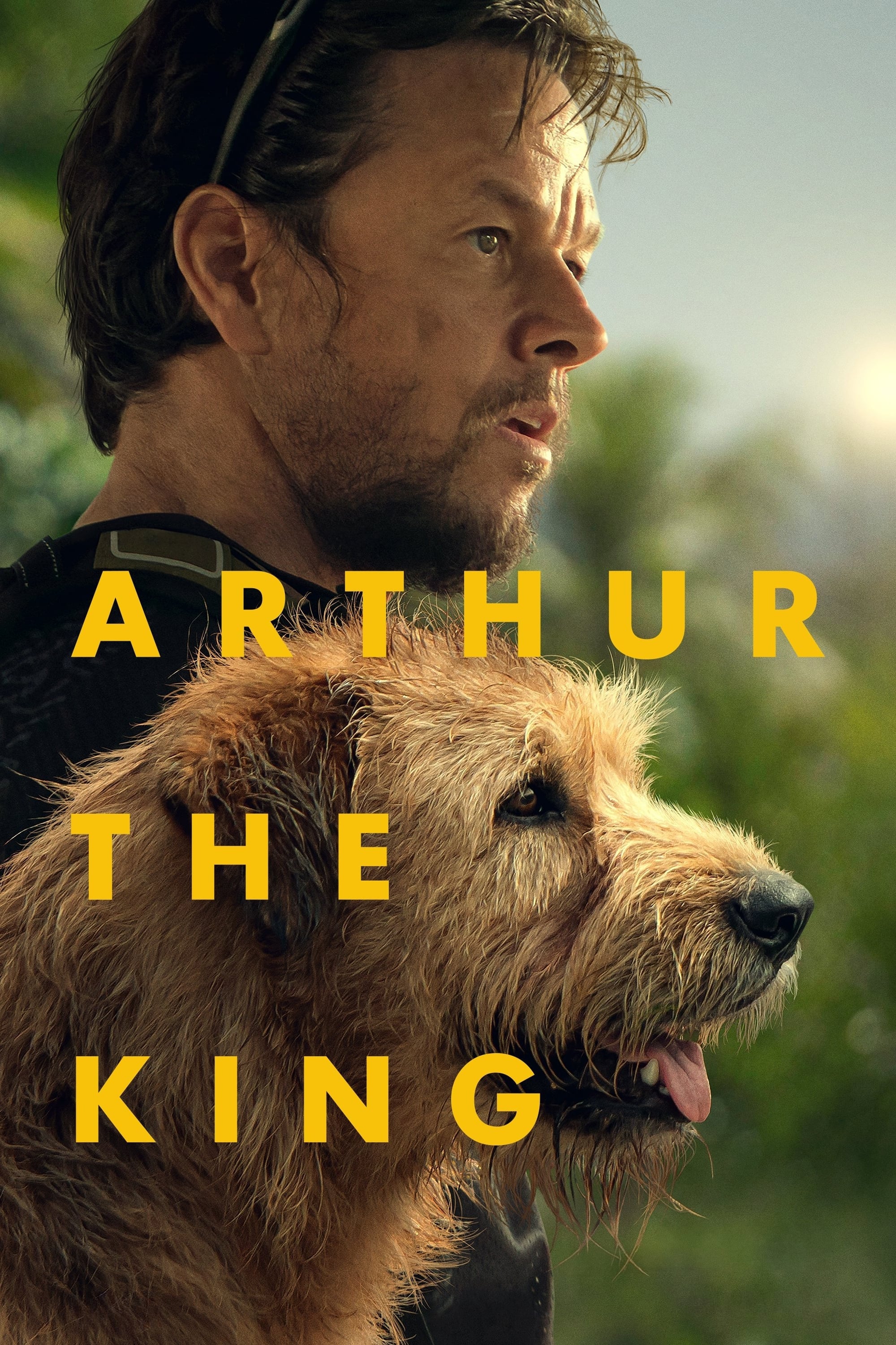 Arthur the King film