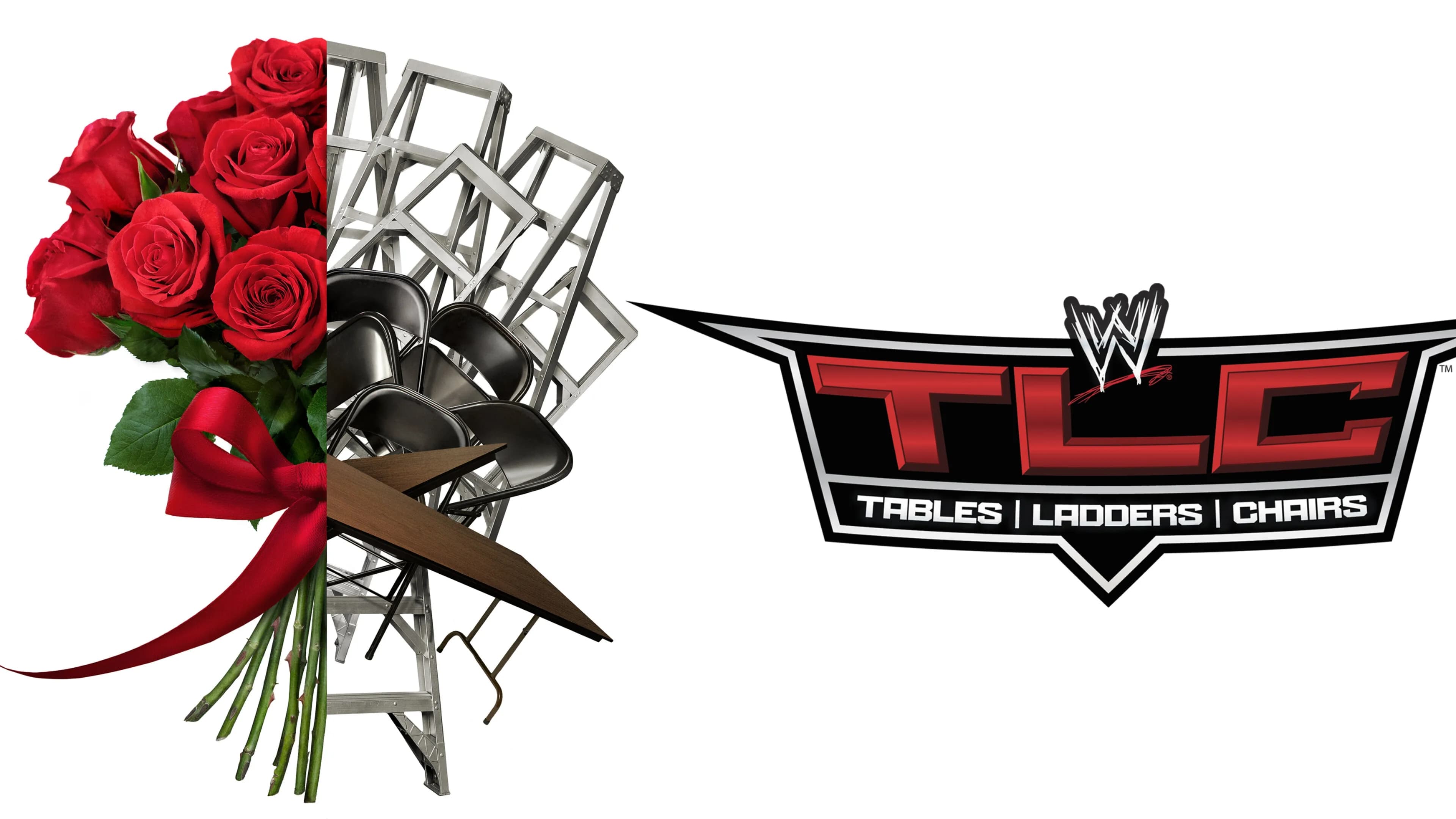 WWE TLC Tables Ladders & Chairs 2013