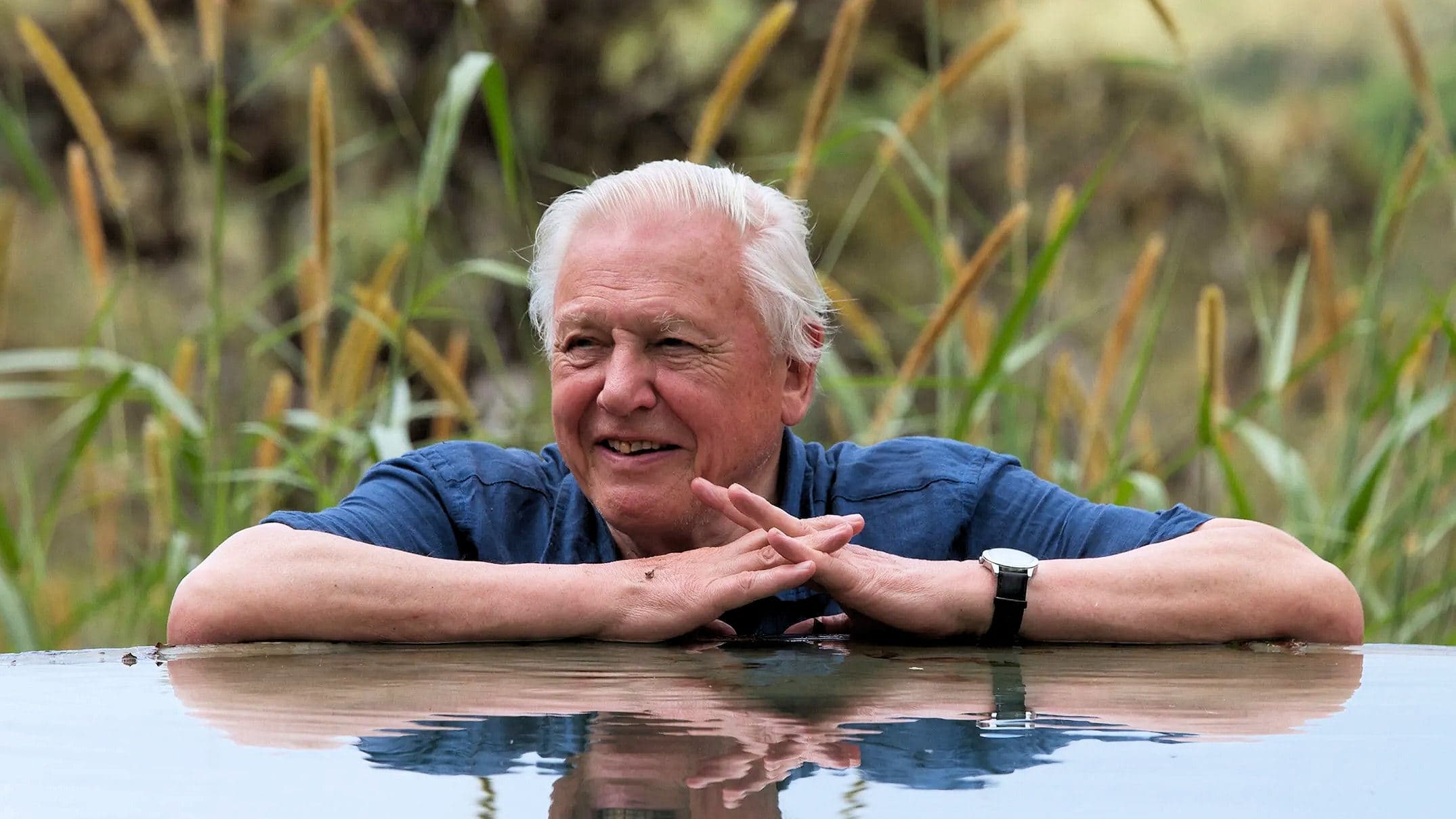 David Attenborough's Global Adventure