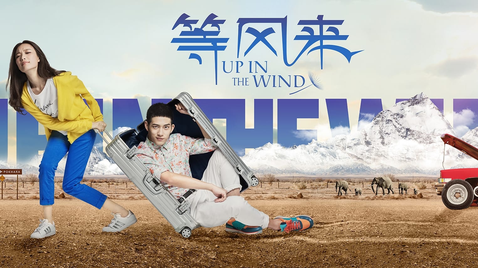 Up in the Wind - film