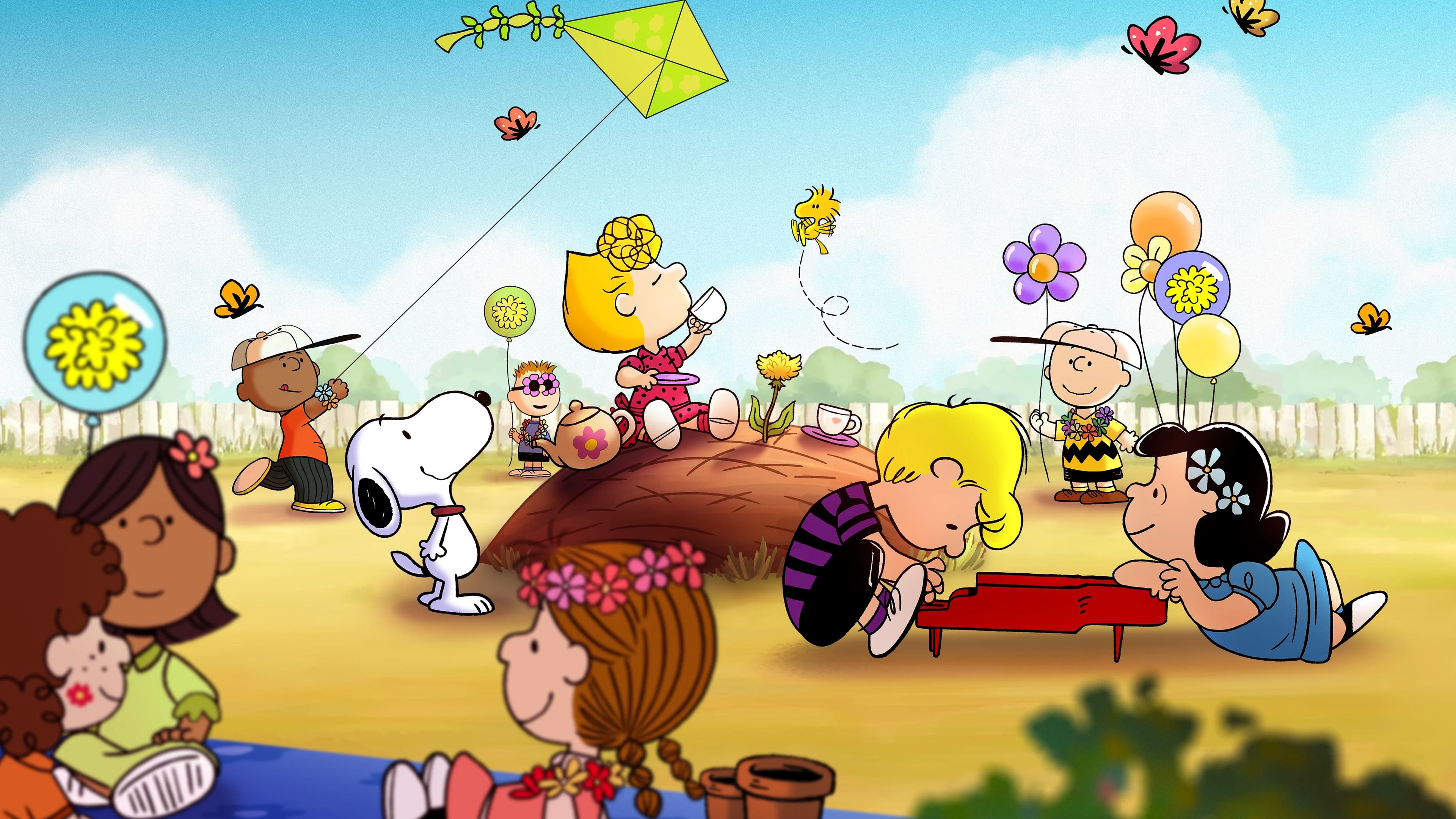 Snoopy presenta: le piccole cose contano, Charlie Brown - film