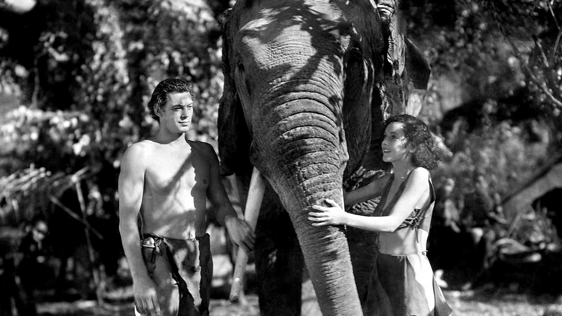 Tarzan e la compagna - film