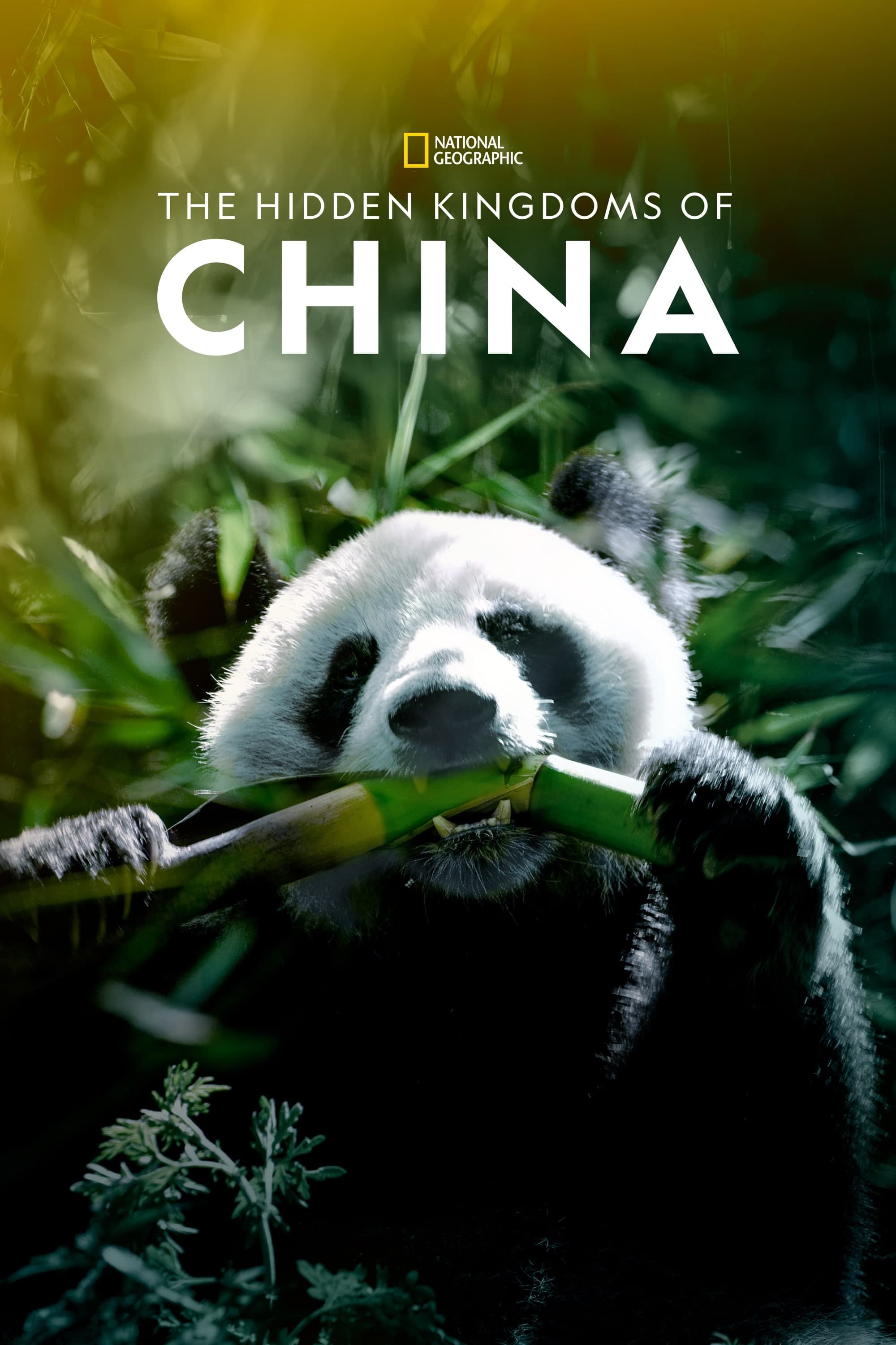 Cina - Le cinque meraviglie film