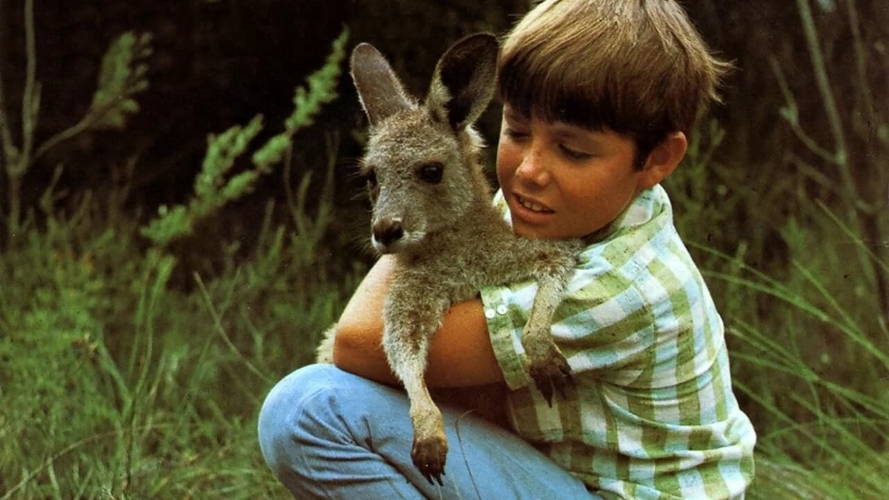 Skippy the Bush Kangaroo - serie