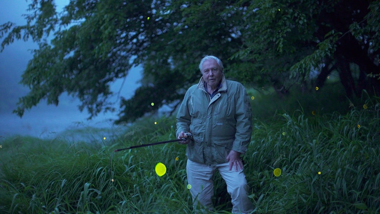 David Attenborough - Luci sul pianeta