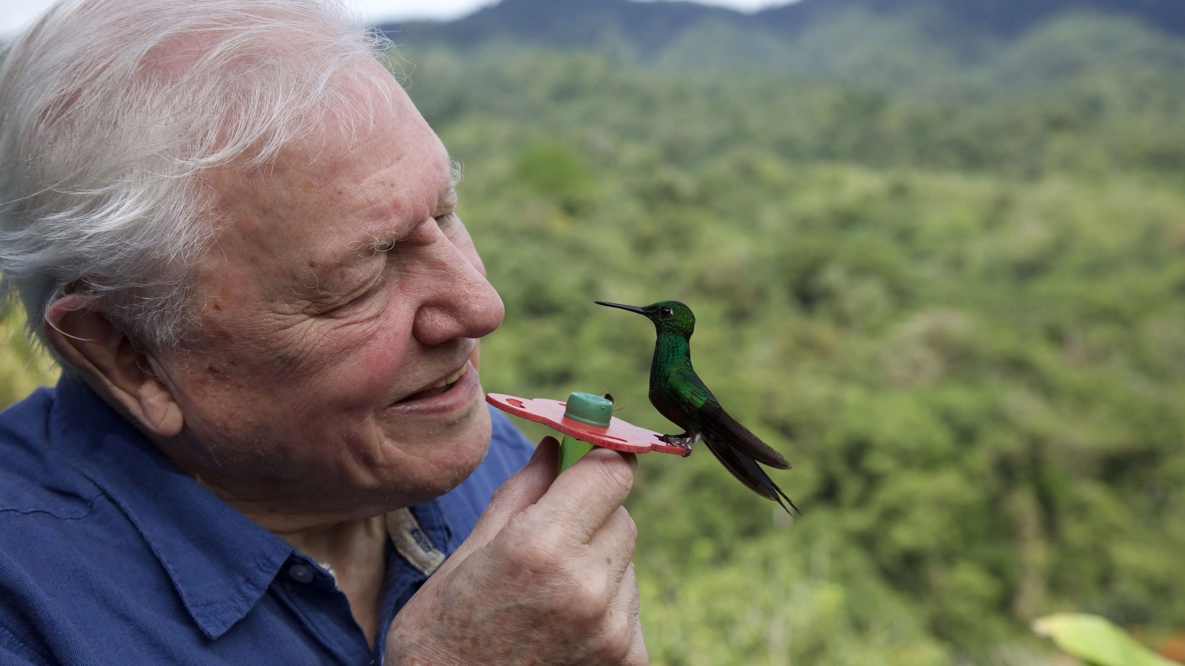 David Attenborough: la vita a colori